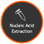 Solar module - Nucleic Acid Extraction